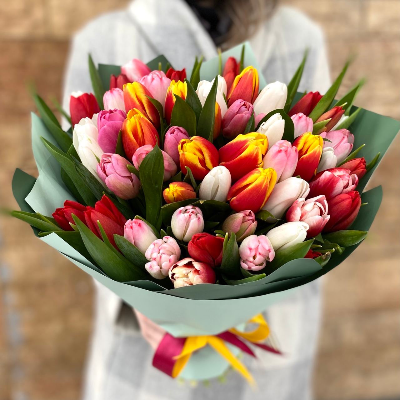 51 tulipanes coloridos